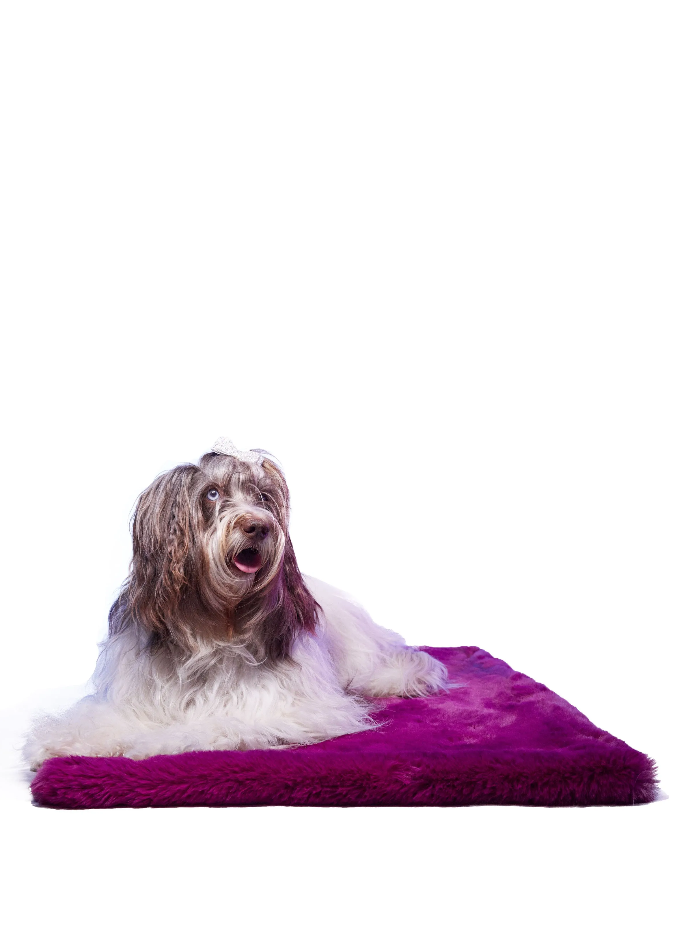 LE TAPIS ROUGE  Le tapis Tokyo - Violet